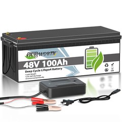 48V 100Ah Lithium LiFePO4 Battery 200A BMS 10 Year warranty for Golf cart VAN RV