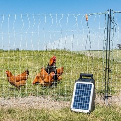 Premier 1 SolarStop™ 80 Fence Energizer – 0.8J 10W Solar Panel | Solar powered