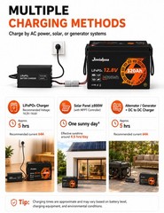12V 320Ah Mini LiFePO4 Lithium Battery Cycle Deep BMS for Solar RV Off-grid Boat