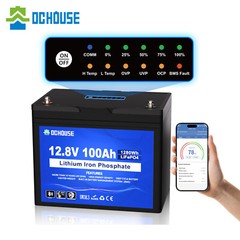 DC HOUSE 12V 100Ah LiFePO4 Lithium Battery with BlueTooth and LED indicator RV