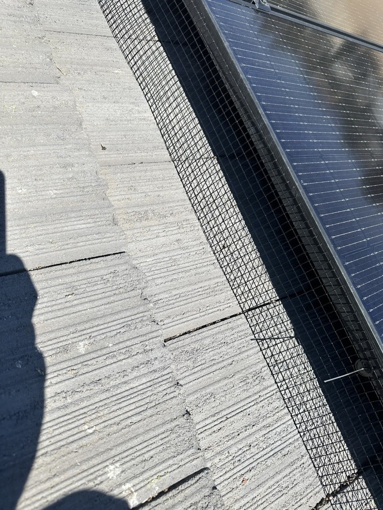 Solar bird proofing and cleaning