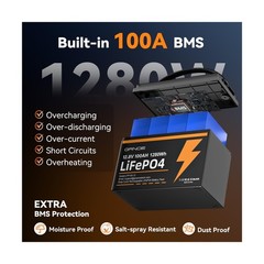 12V 100Ah LiFePO4 Battery Group 31 With Built-in 100A BMS (2 Pack), 1280Wh Li…