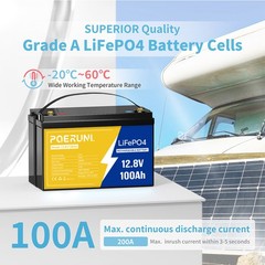 100Ah 12V LiFePO4 Lithium Backup Battery 1280Wh Built-in BMS For solar golf cart