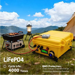 Portable Power Station 12V 100Ah 300Ah LiFePO4 Battery Packs with Integrated BMS
