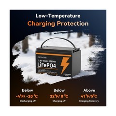 12V 100Ah LiFePO4 Battery Group 31 With Built-in 100A BMS (2 Pack), 1280Wh Li…