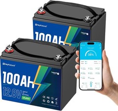 2 Pack 12V 100Ah LiFePO4 Bluetooth Battery Group 24 200Ah Trolling RV Solar