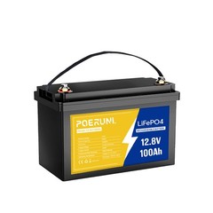 100Ah 12V LiFePO4 Lithium Backup Battery 1280Wh Built-in BMS For solar golf cart