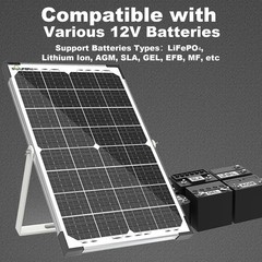 30W Solar Battery Charger Solar Battery Maintainer + MPPT Charge Controller |