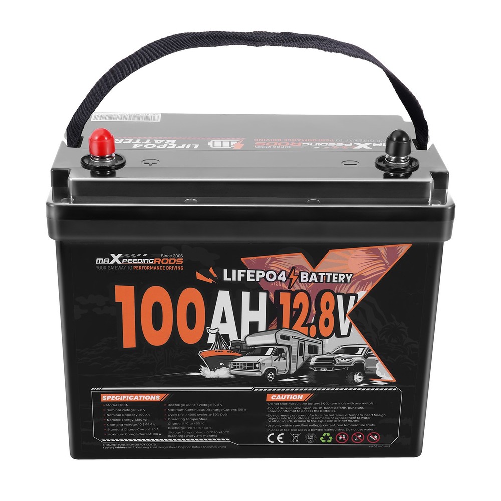 Deep Cycle Battery 12V 100Ah LiFePO4, Low Temperature Cutoff, 1280Wh Energy