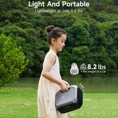 Portable Power Station Andes 300, 266Wh Battery with 300W AC/100W USB-C Output