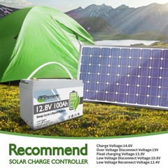 12V 100Ah LiFePO4 Lithium Battery Built-in 100A BMS for Solar Marine Trolling