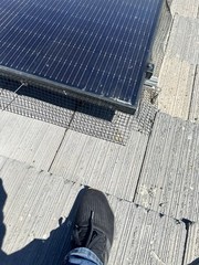 Solar bird proofing and cleaning