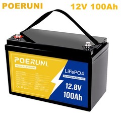 100Ah 12V LiFePO4 Lithium Backup Battery 1280Wh Built-in BMS For solar golf cart